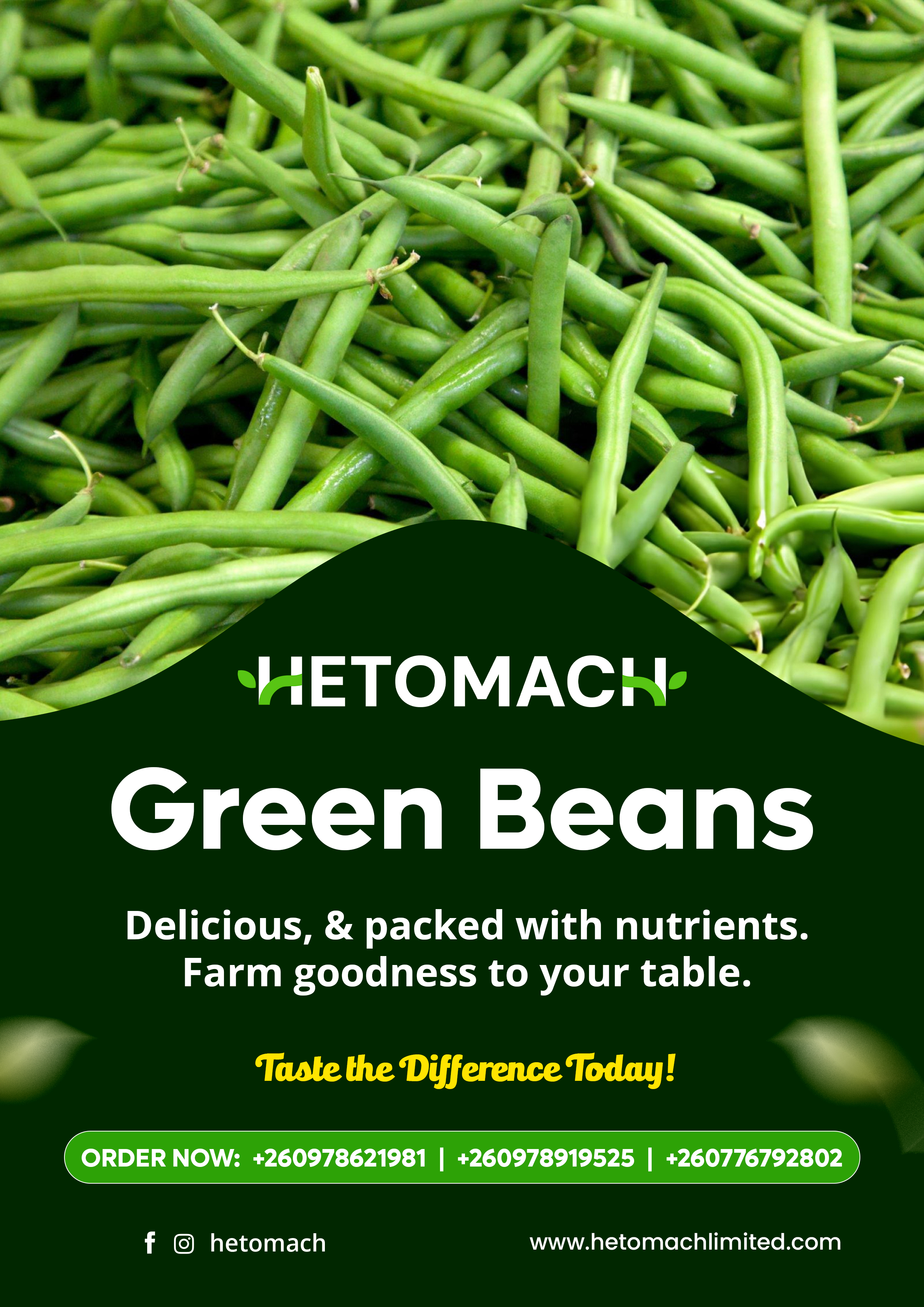 Green Beans from Hetomach Farms
